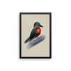"Kingfisher" Framed Poster