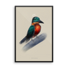 "Kingfisher" Framed Poster