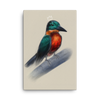 "Kingfisher" Canvas