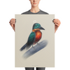 "Kingfisher" Poster